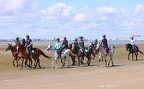 Chevaux Plages
