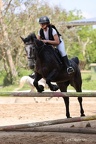 Equitation Concours CSO, Horse Ball, Carrousel