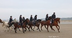 Chevaux Plages