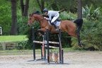 Equitation Concours CSO, Horse Ball, Carrousel