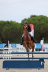 Equitation Concours CSO, Horse Ball, Carrousel