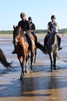 Chevaux Plages