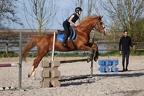 Equitation reprises