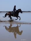 Chevaux Plages - montre les photos à la racine de cet album Chevaux Plages
