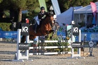 Equitation Concours CSO, Horse Ball, Carrousel