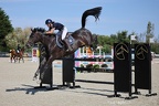 Equitation Concours CSO, Horse Ball, Carrousel
