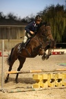 Equitation reprises