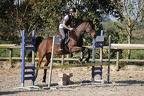 Equitation reprises