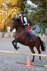 Equitation reprises