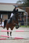 Equitation Concours CSO, Horse Ball, Carrousel