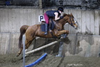Equitation reprises