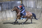 Equitation reprises