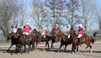 Equitation Concours CSO, Horse Ball, Carrousel