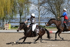 Equitation Concours CSO, Horse Ball, Carrousel