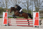 Equitation Concours CSO, Horse Ball, Carrousel
