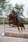 Equitation reprises