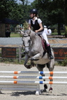 Equitation Concours CSO, Horse Ball, Carrousel