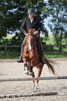 Equitation reprises