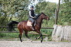 Equitation reprises