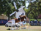 Equitation Concours CSO, Horse Ball, Carrousel