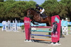 Equitation Concours CSO, Horse Ball, Carrousel