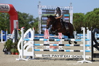 Equitation Concours CSO, Horse Ball, Carrousel
