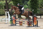 Equitation Concours CSO, Horse Ball, Carrousel
