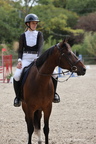 Equitation Concours CSO, Horse Ball, Carrousel