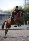 Equitation reprises
